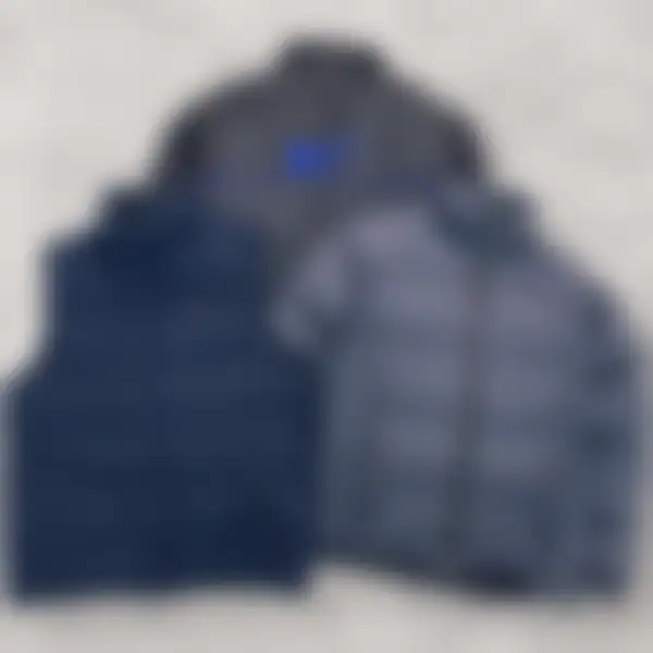 Puffer and gilet bundle, blurred until you join